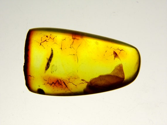 Baltic Amber Stone 4.1gr. Transparent Natural Polished Genuine Gemstone 6078