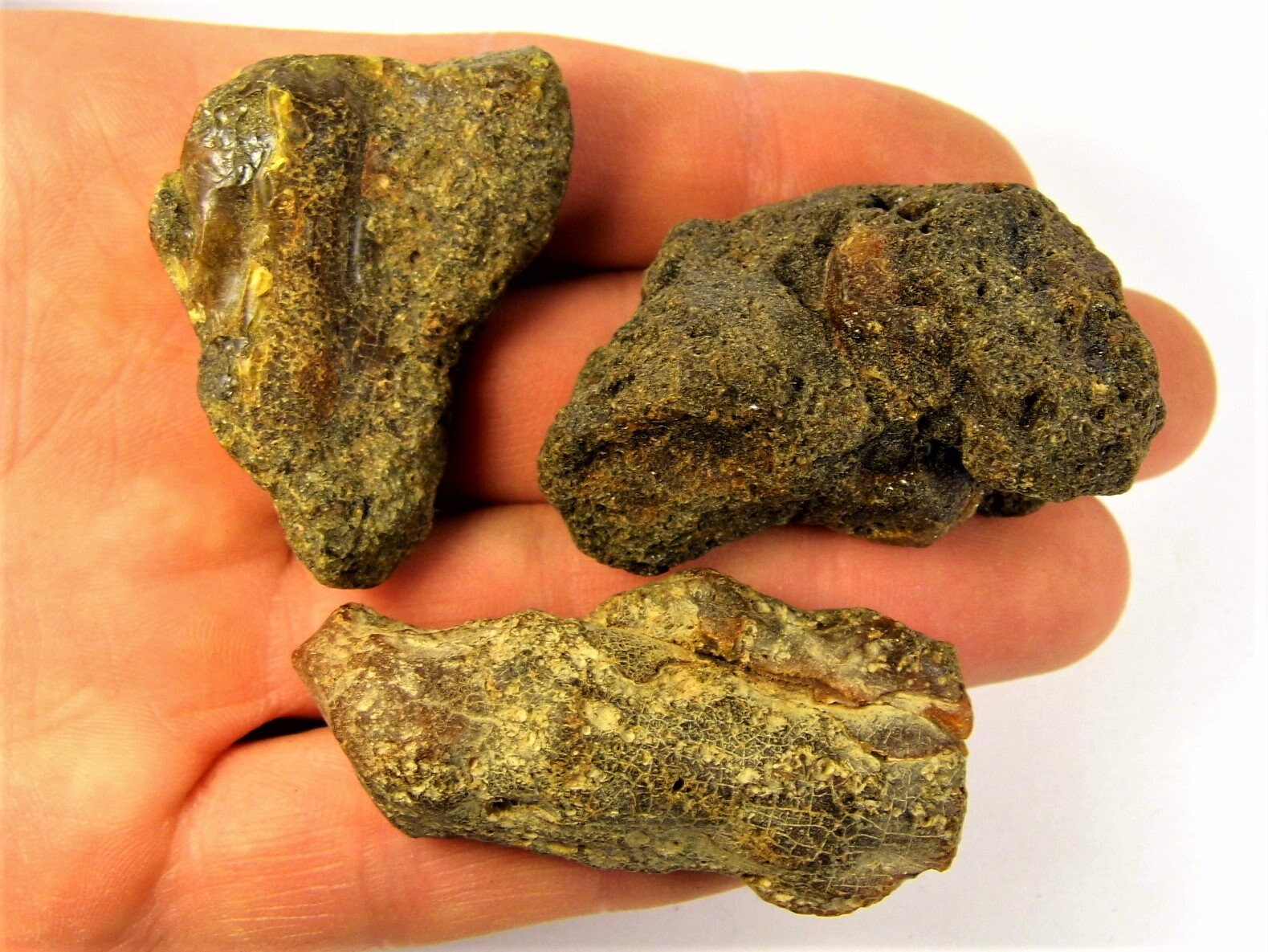 Lot of 3 raw unpolished rough black Baltic Amber loose