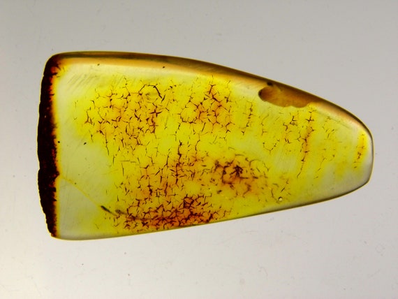Baltic Amber Stone 5.2gr. Transparent Natural Polished Genuine Gemstone 6071