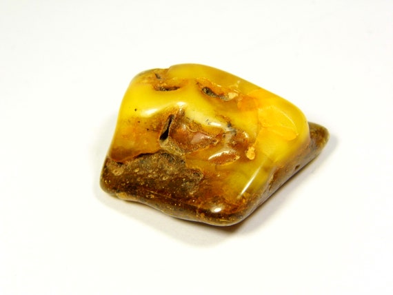Baltic Amber Stone 7.8gr. Multicolor Natural Genuine Polished Gemstone 5687