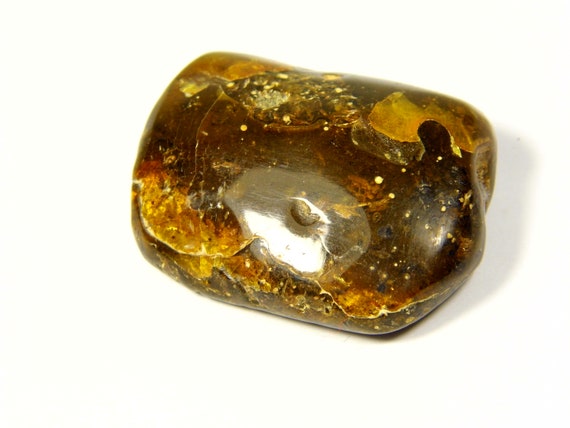 Baltic Amber Stone 11gr Black Brown Green Natural Genuine Polished Gemstone 5680