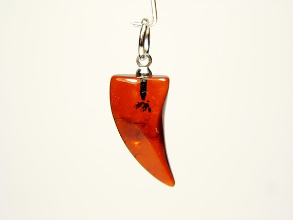 Baltic Amber Canine Fang Pendant Brown Cognac Transparent Natural Gemstone 5376