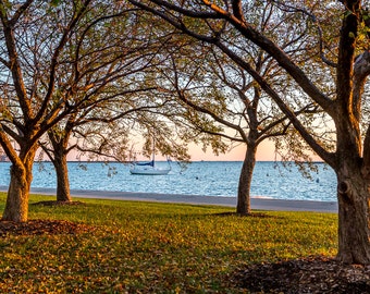 Chicago Lakefront Grant Park Lake Michigan Art Photography Print Wall Decor