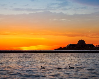 May include: A silhouette of a building with a dome against a vibrant orange and blue sunset over a calm body of water. Three ducks are swimming in the water.