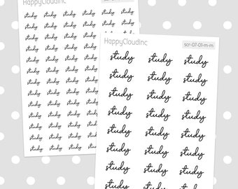 Study Script Word Planning Stickers | Planner Stickers (1 Sheet)