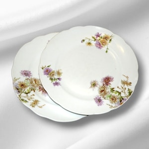 Two Kuznetsov DF porcelain plates with floral design, Imperial Russian dinner plates, collectible porcelain