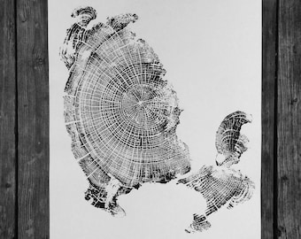 流木年輪プリント：キャノンビーチ・オレゴン・コースト・アート