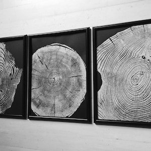 Black paper tree ring prints, tree stump art, tree stump prints, Tree rings, Tree ring art, Tree art, Tree print, Linton