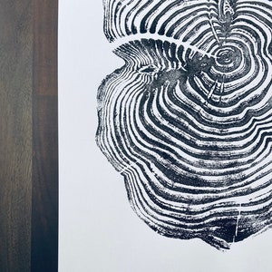 Rustic Sequoia National Park redwood slice wall art: Bring the forest indoors, Outdoors inside