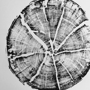 Glacier National Park art, Split Log, National Park Art, Original Woodblock, Tree Ring Art Print, woodcut print, Sacred Geometry