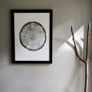 Big Cottonwood Canyon art, Tree Ring Print, Woodcut, Utah Art, Botanical Print, arborist art gift, Dendrology, Hand pressed