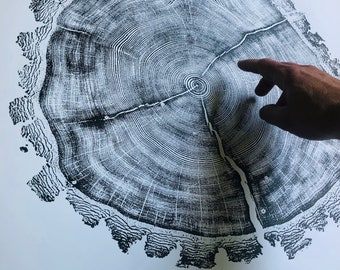 Douglas Fir Tree Ring afdrukbare muurkunst, minimalistische houtnerf kunst downloaden, grote neutrale natuurprint, decor bos ringpatroon