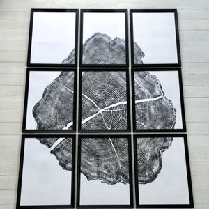 May include: A black and white print of a tree ring pattern, divided into nine framed pieces. The print is in a minimalist style and would look great in a modern home.