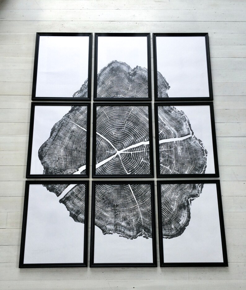 May include: A black and white print of a tree ring pattern, divided into nine framed pieces. The print is in a minimalist style and would look great in a modern home.