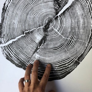 Handmade Tree Ring Art Print: Lake Superior Driftwood, 18x24