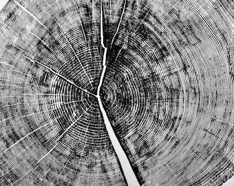 Yosemite National Park print, Tree ring art, tree ring print, Yosemite print, 36x36 inch print, National park prints, Hand pressed