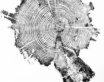 Yellowstone wall art, Real tree ring print, Yellowstone Park tree, Tree Ring Print, Tree wall Art, tree ring art print, Dendrology art gift