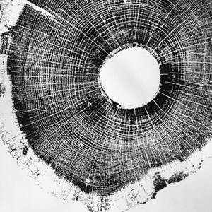 North Carolina Oak, Tree ring print, Hand pressed woodcut, Wood print, North Carolina Art, birthday art gift, Original Erik Linton Art