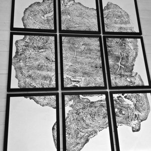 Massachusetts art print, Set of 9 prints, Tree ring art prints, Big Leaf Maple Tree, Tree ring prints, Tree ring art, Tree ring art