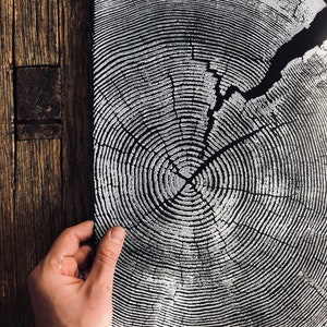 Stampa Crater Lake, Stampa ad arte della fetta dell'albero, Pressata a mano su carta nera 18x24 pollici