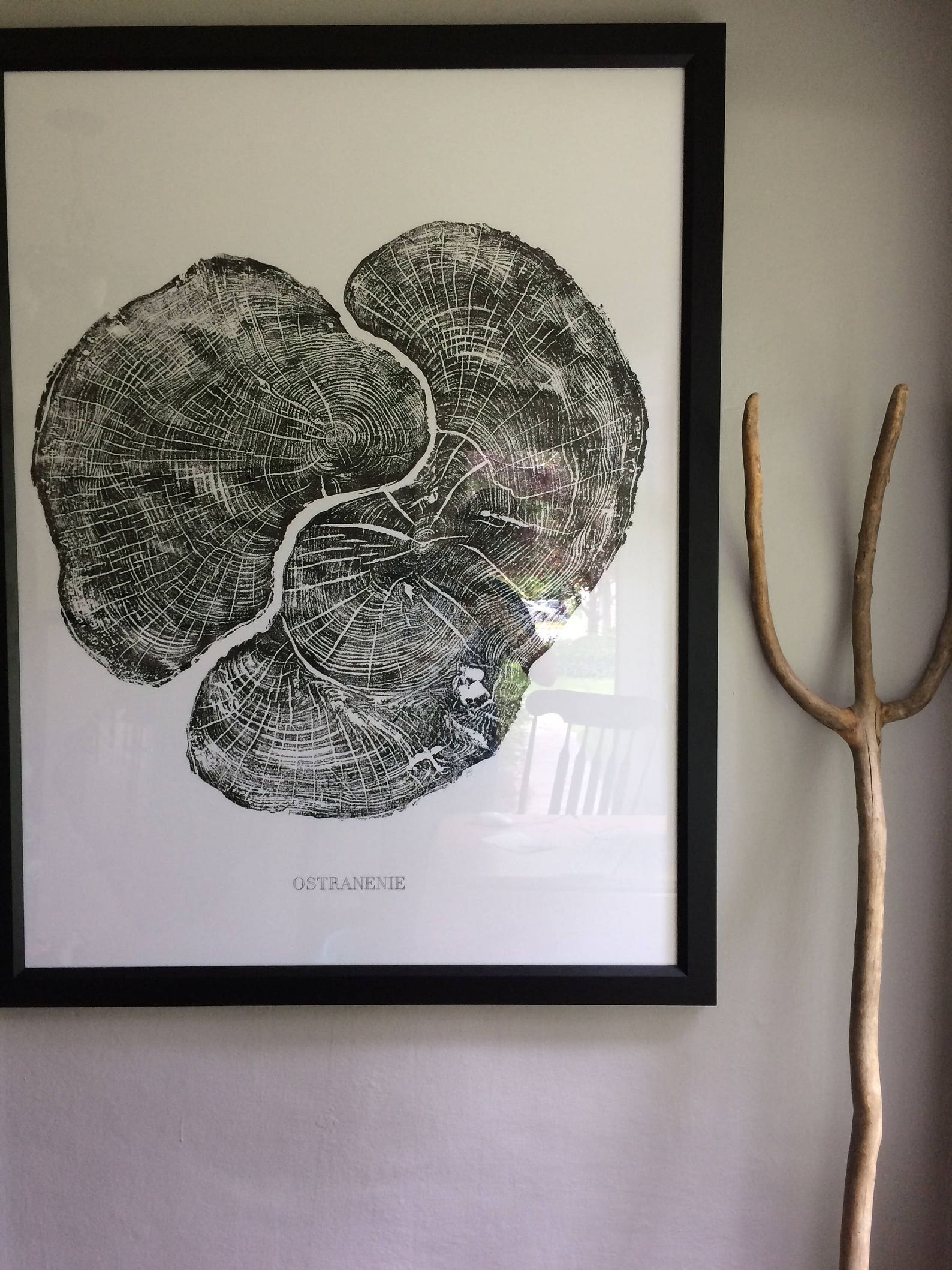 Real Maple Tree Ring Art Print Oversized wall art handmade | Etsy