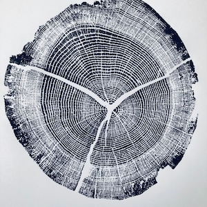 Träsnitt av ekträdsring i Walden Pond: Handgjord konst (45x61 cm) bild 6
