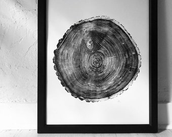 Handmade Tree Ring Print: Balm of Gilead Poplar, Maine Art (18x24)