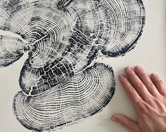 Pine Tree Ring Print: 24x36 Wood Slice Art on Acid-Free Paper