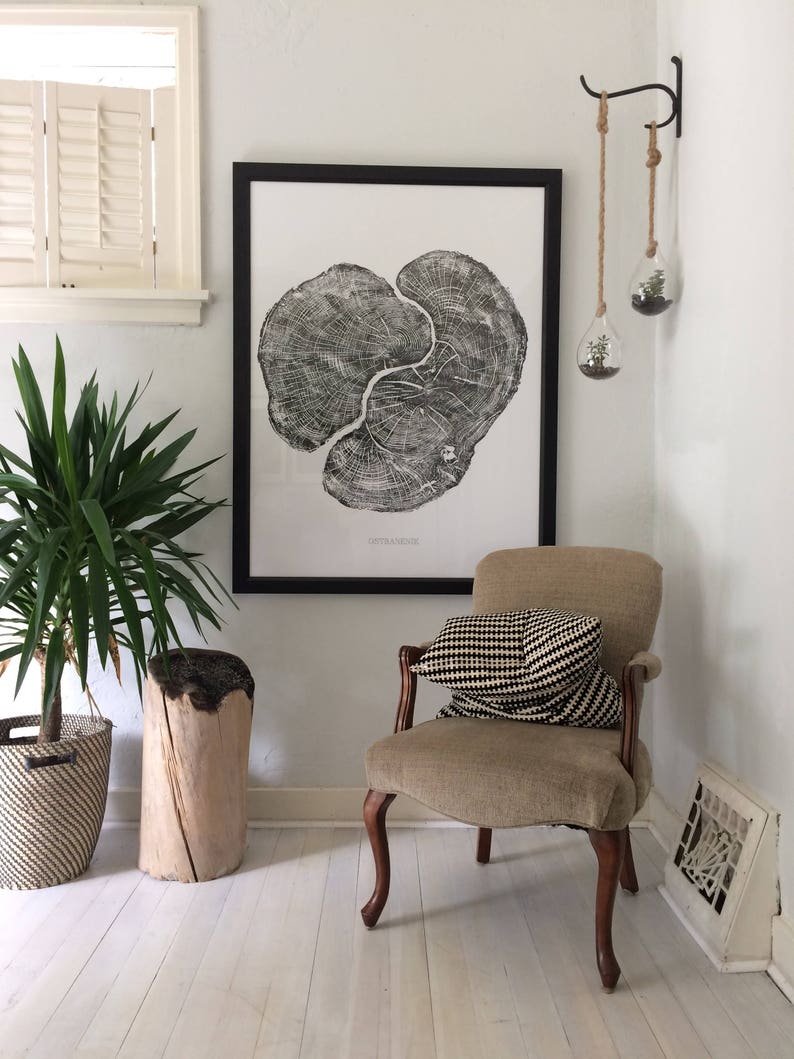 Real Maple Tree Ring Art Print Oversized wall art handmade | Etsy