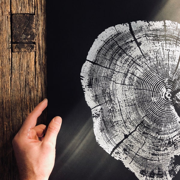 Tree Ring Art Print Etsy
