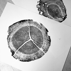 Träsnitt av ekträdsring i Walden Pond: Handgjord konst (45x61 cm) bild 9