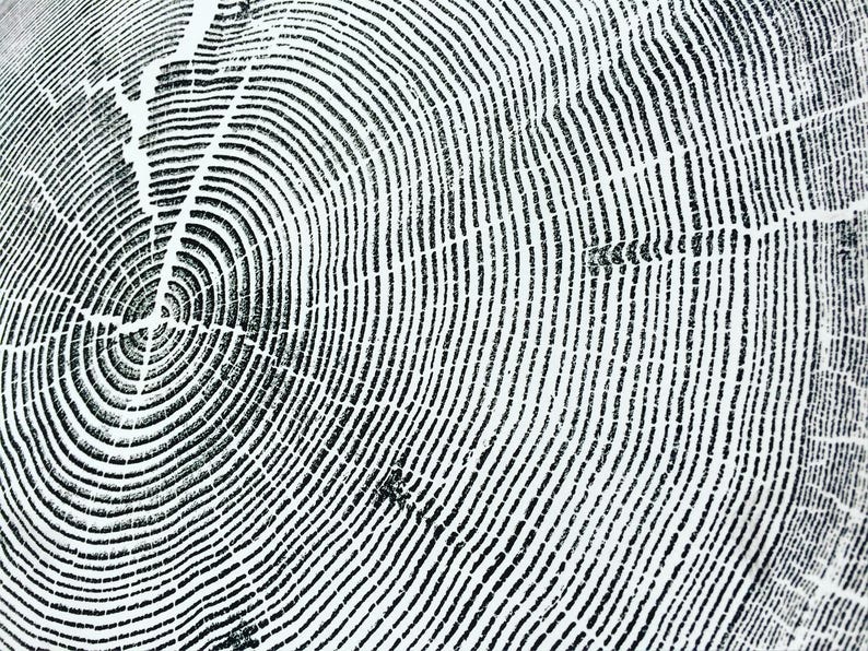 Tree Stump Print Original Woodcut Prints Set of Three 24x36 Etsy