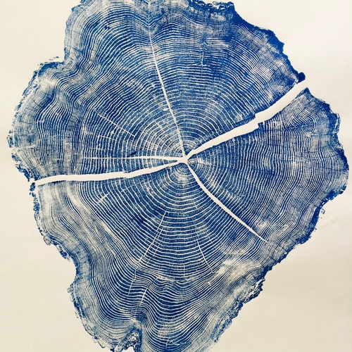 Real Maple Tree Ring Art Print Oversized Wall Art Handmade | Etsy