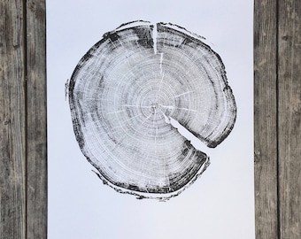 Log Print, From Uinta Mountains in Utah, 183 year old Tree