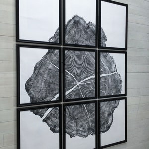 May include: A black and white print of a tree trunk cross-section, showing the rings, is displayed in nine black frames on a white wall.