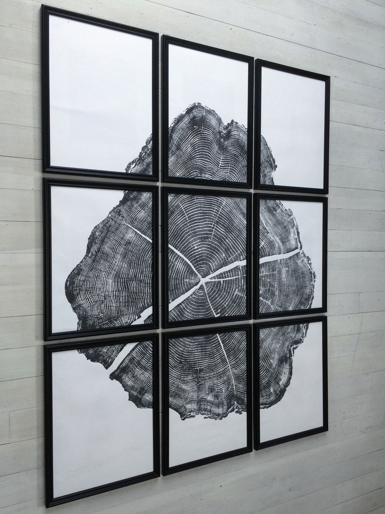 May include: A black and white print of a tree trunk cross-section, showing the rings, is displayed in nine black frames on a white wall.