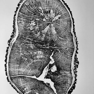 Liverpool art print, English Oak, Tree ring art print, Oak from Liverpool UK, Anniversary art, Tree ring art, Tree rings, Original Woodcut