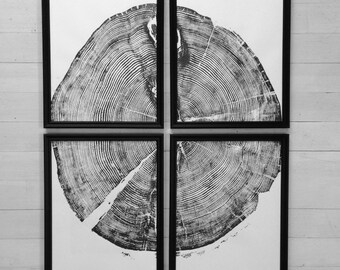 Tree Ring Art Print Set: Sundance Canyon Woodblock Prints (12x16)