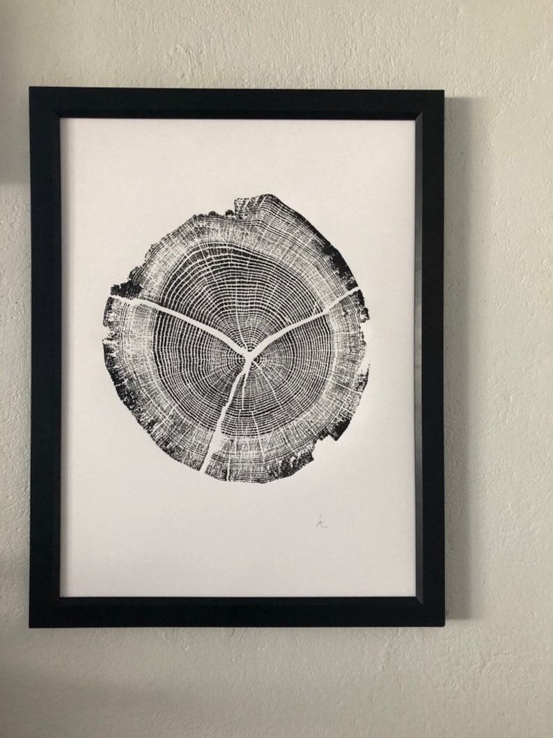 Träsnitt av ekträdsring i Walden Pond: Handgjord konst (45x61 cm) bild 4