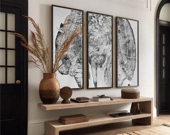 Giant Redwood Tree Ring Art Print Set: Signed Woodcut Wall Art
