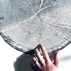 Crater Lake Tree Ring Printable Wall Art, Oregon Pine Art Download, National Park Nature Print, Large Minimalist Wood Grain Decor, Download