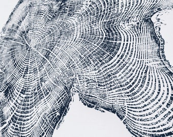 Oregon Coast Tree Ring Printable, Driftwood Art Download, Large Wall Art, Neutral Nature Decor, Minimalist Printable Art