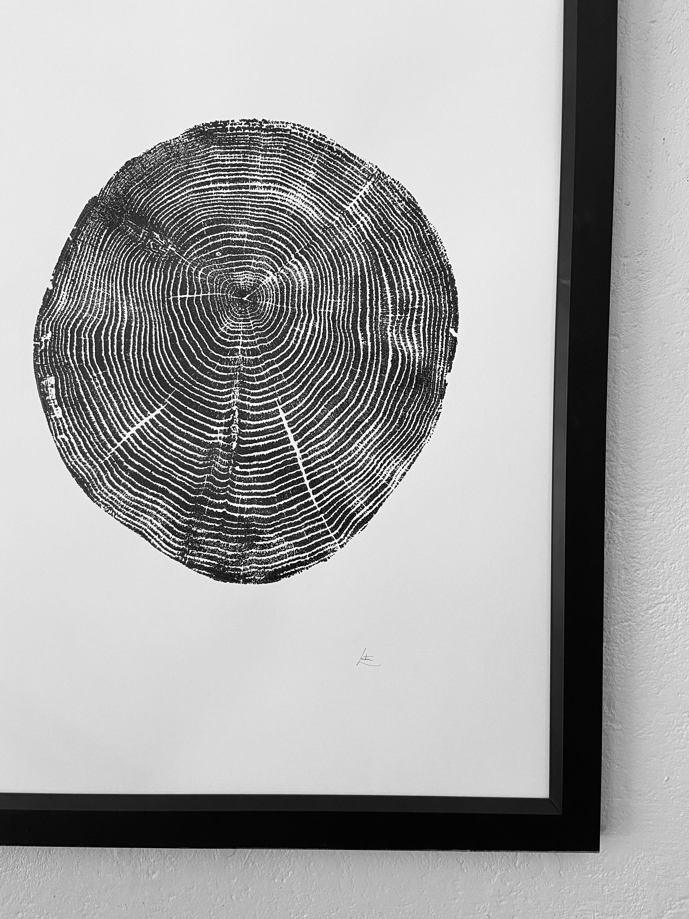 Long Island New York Oak Tree Ring Print From Oak Original | Etsy