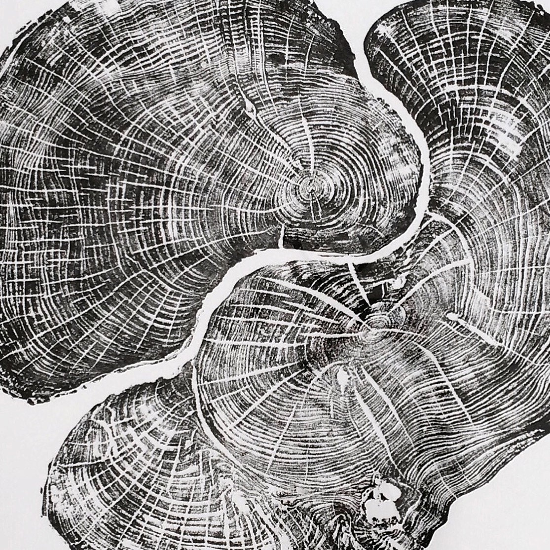 Real Maple Tree Ring Art Print Oversized wall art handmade | Etsy