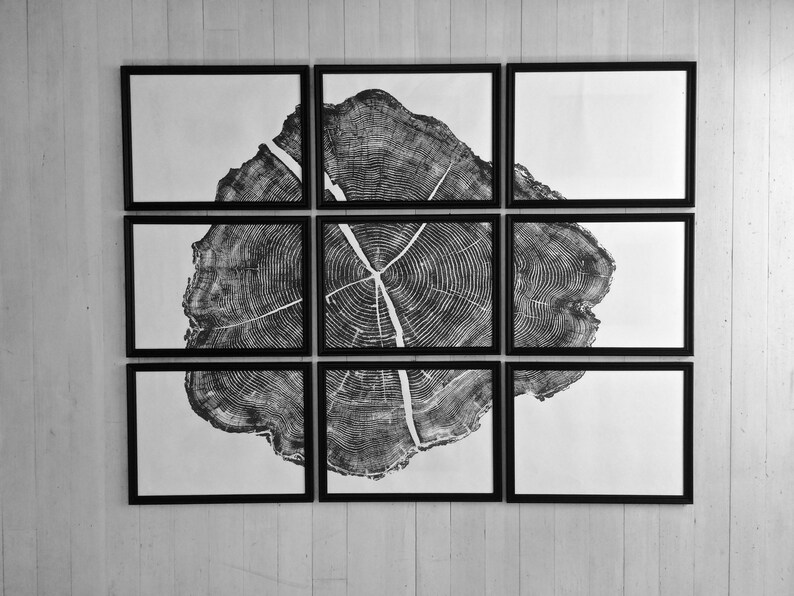 May include: A black and white print of a tree trunk cross-section, displayed in nine framed pieces on a white wall.