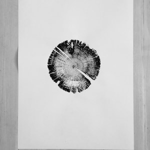 May include: Black and white print of a tree trunk cross section showing the rings. The print is on a white background.