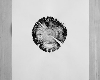Lodge Pole Pine Tree Ring Art Print: Geometric Forest Texture