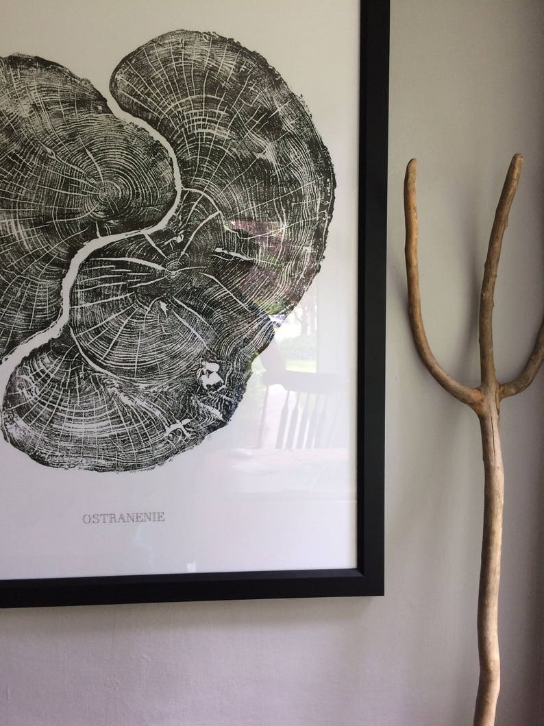 Real Maple Tree Ring Art Print Oversized wall art handmade | Etsy