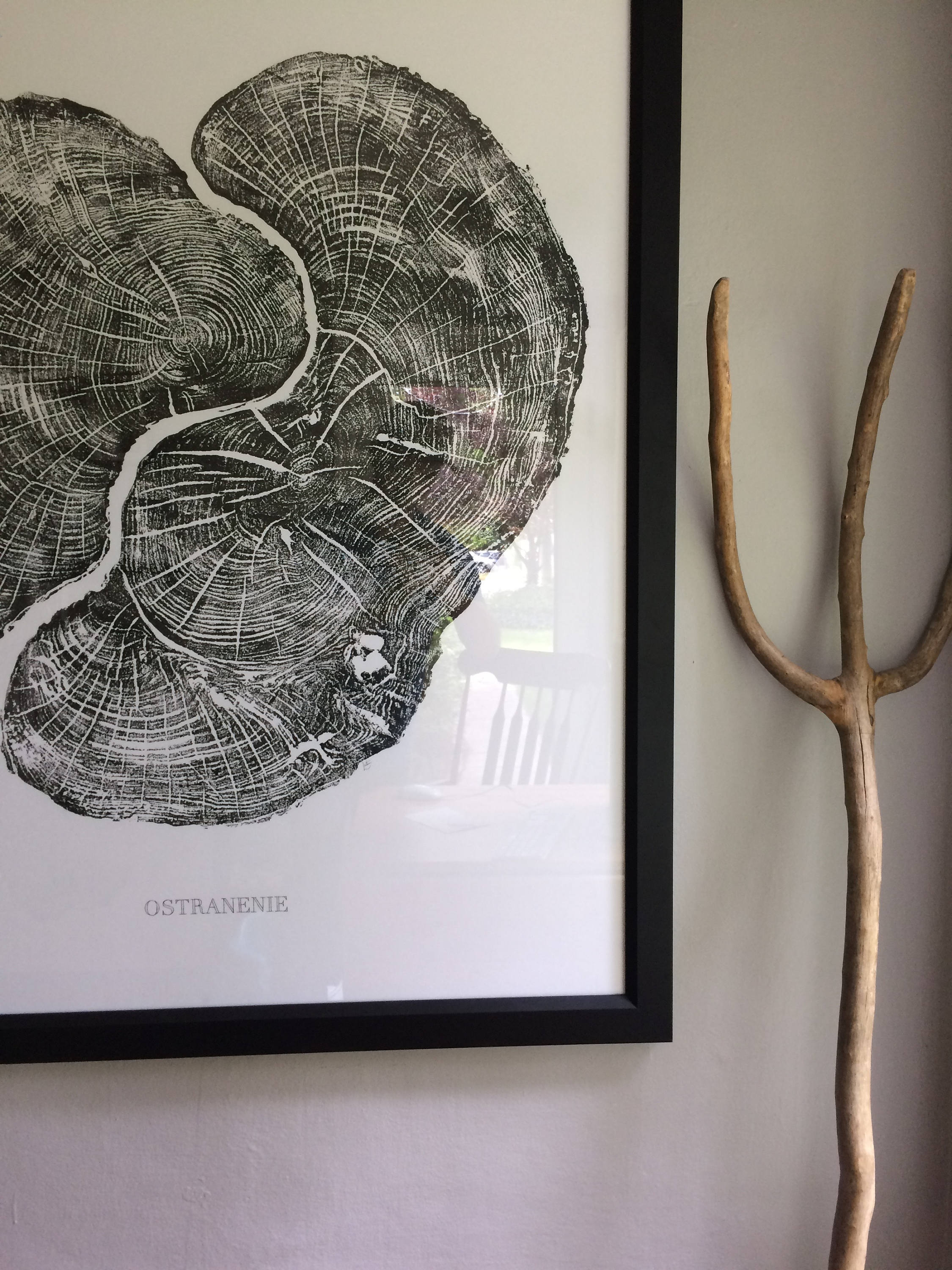 Real Maple Tree Ring Art Print Oversized wall art handmade Etsy