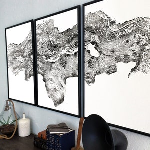 Live Edge, Redwood Burl, Lumber, Tree Ring Print, Set of three 24x36 inch prints, Woodcut print